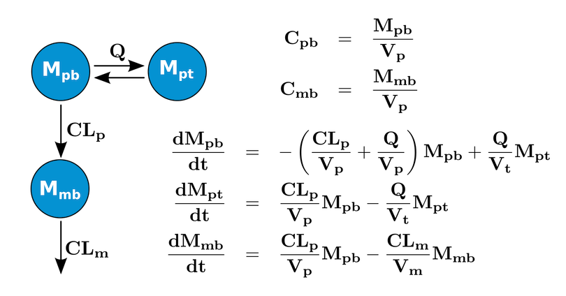 Model structure of parent/metabolite model