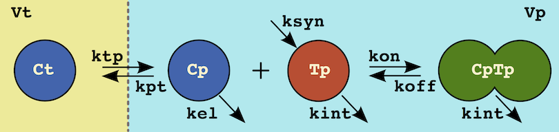 ODEs vs. Model Descriptors